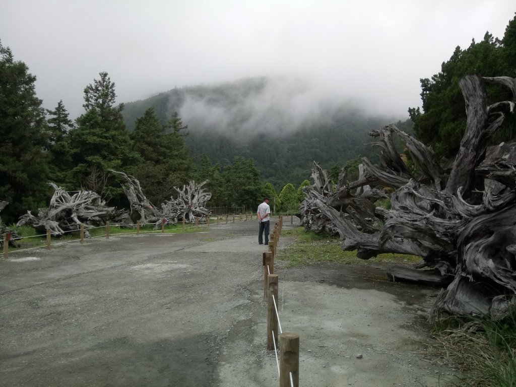 DSC_5641.JPG - 大同  太平山森林遊樂區