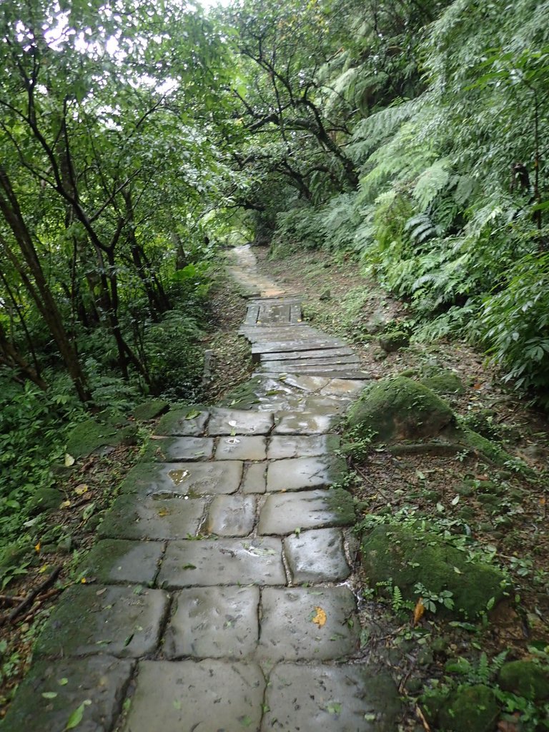 P1062085.JPG - 土城  天上山  登山步道