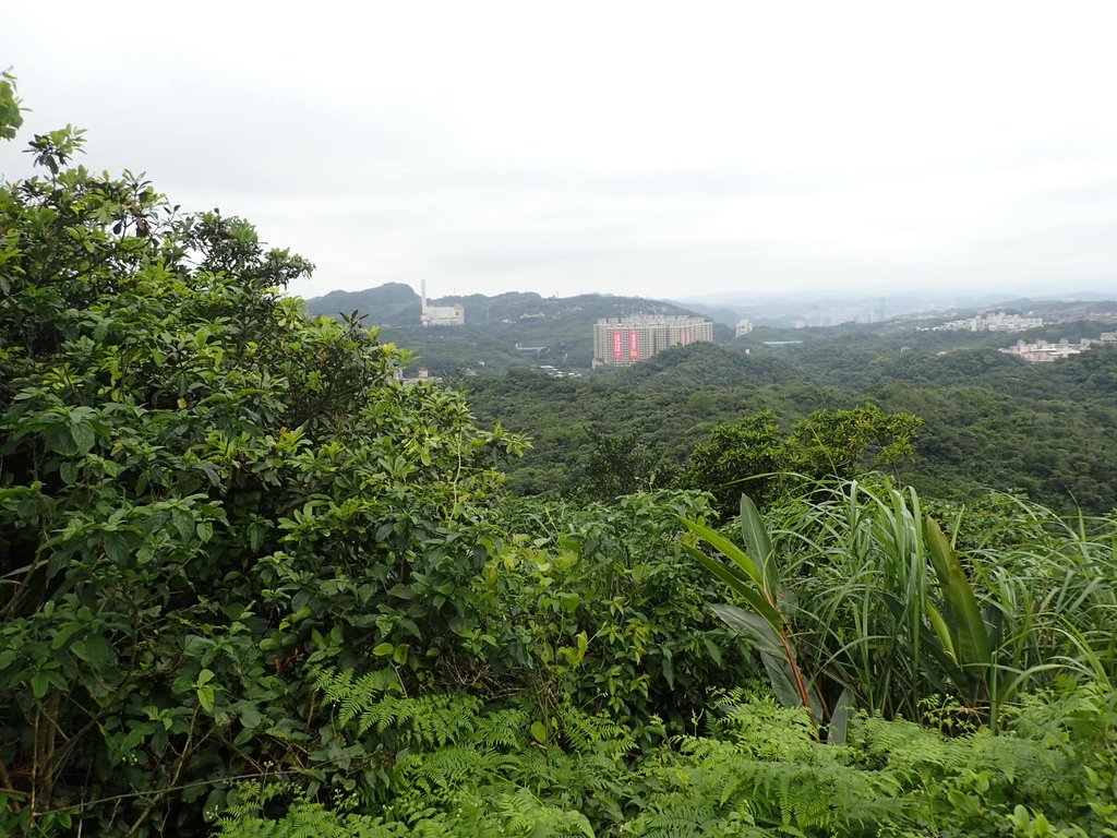 P4143569.JPG - 基隆  五坑山  總督嶺步道