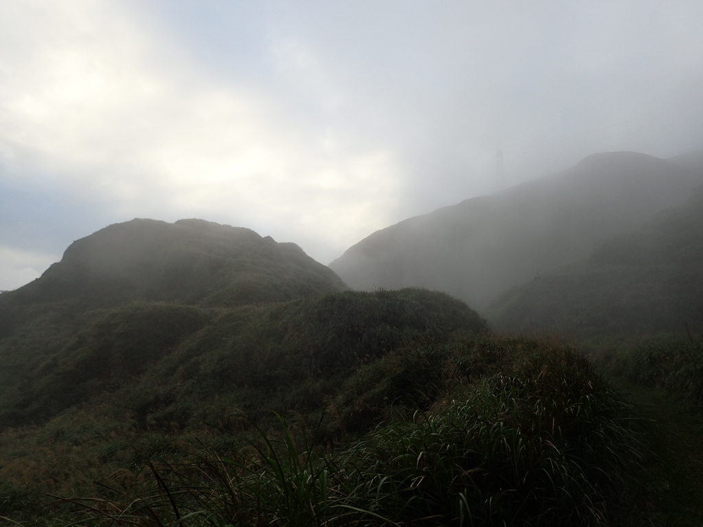 P1203425.JPG - 瑞芳  牡丹山