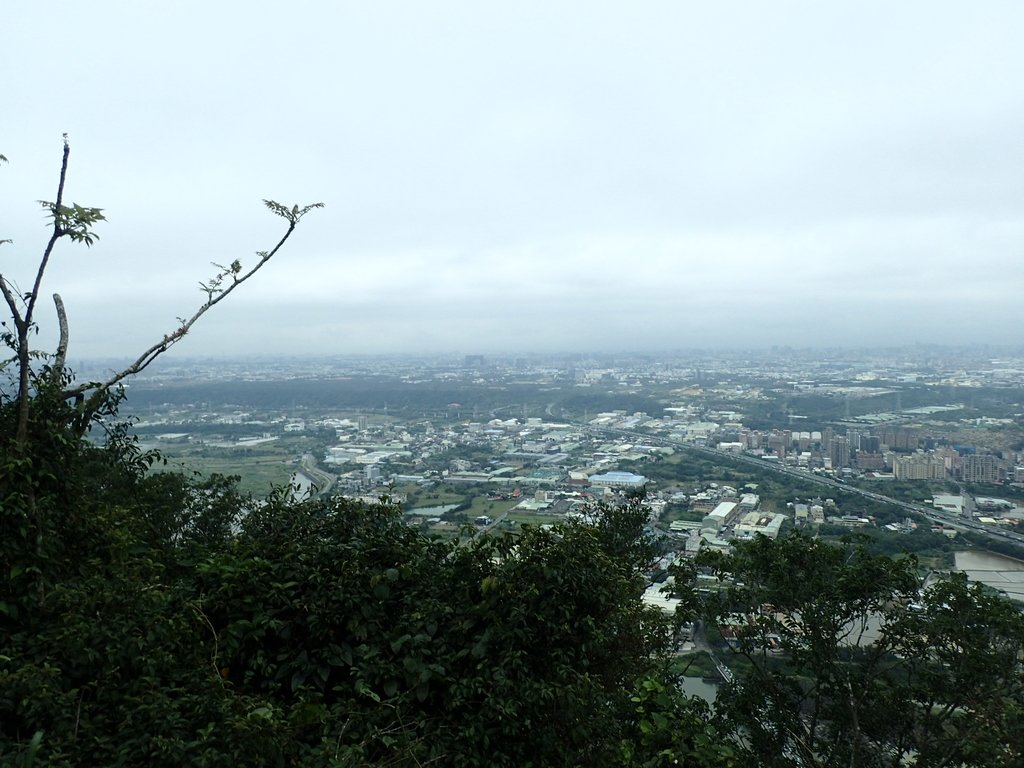 P2168045.JPG - 三峽  鳶山  (福德坑山)