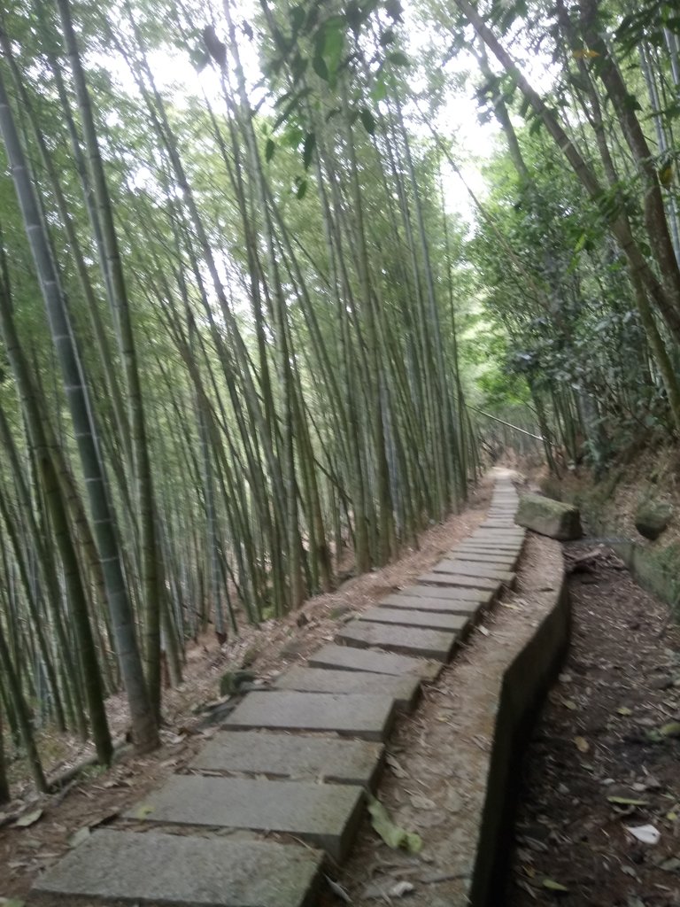 DSC_0559.JPG - 鹿谷  長源圳古道