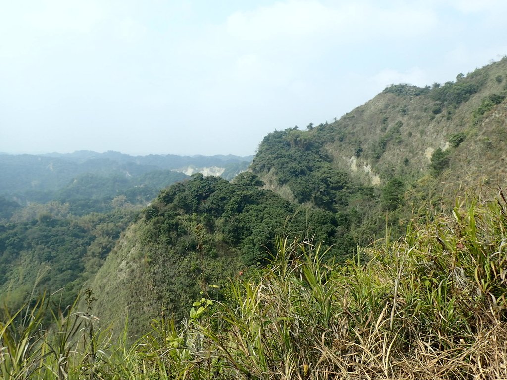 P3016104.JPG - 草屯平林  九九峰森林步道