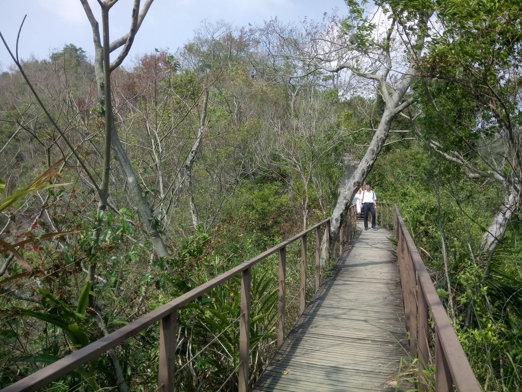 DSC_7299.JPG - 草屯平林  九九峰森林步道