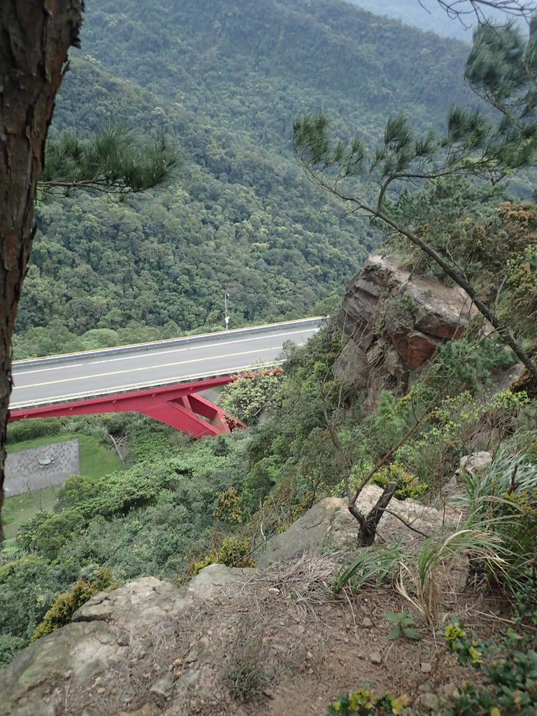 P3160170.JPG - 汐止  金面山(金明山)  稜線步道