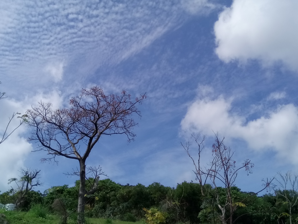 DSC_5442.JPG - 北投社  三層崎公園