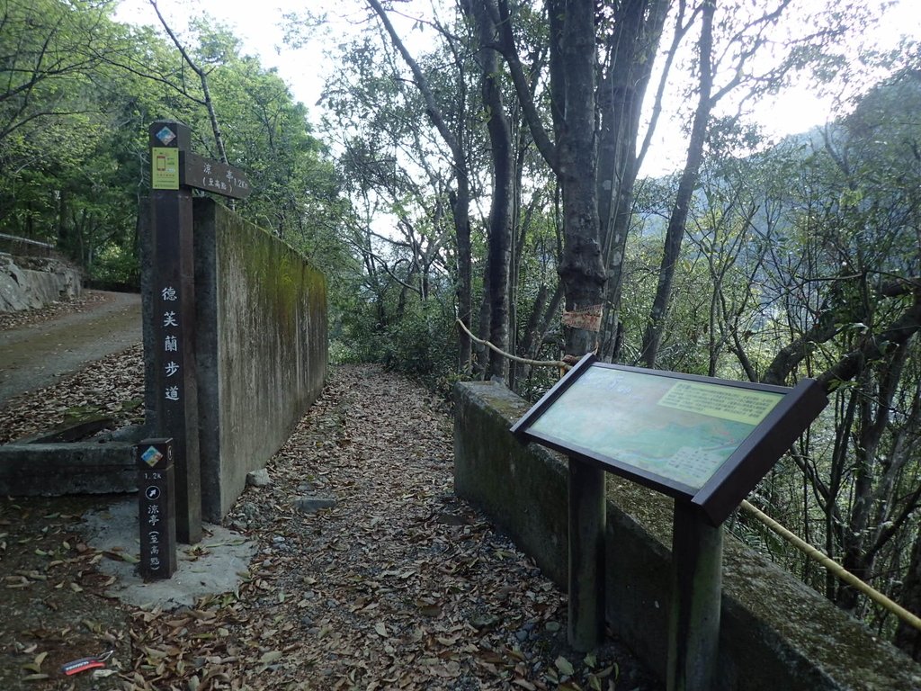 P3167106.JPG - 谷關  德芙蘭步道