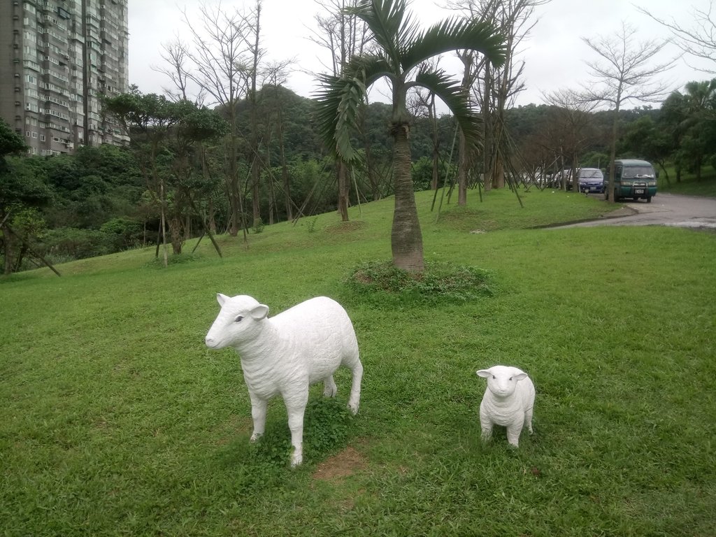 DSC_8099.JPG - 基隆  早安國揚社區公園