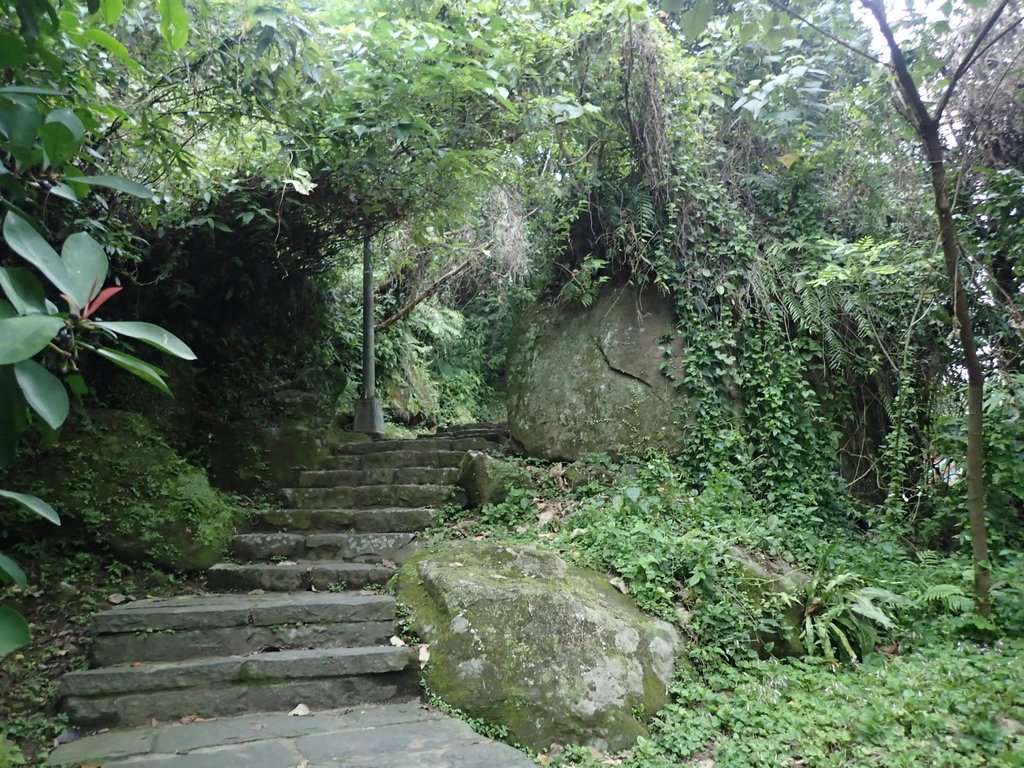 P3116923.JPG - 內湖  白鷺鷥山親山步道