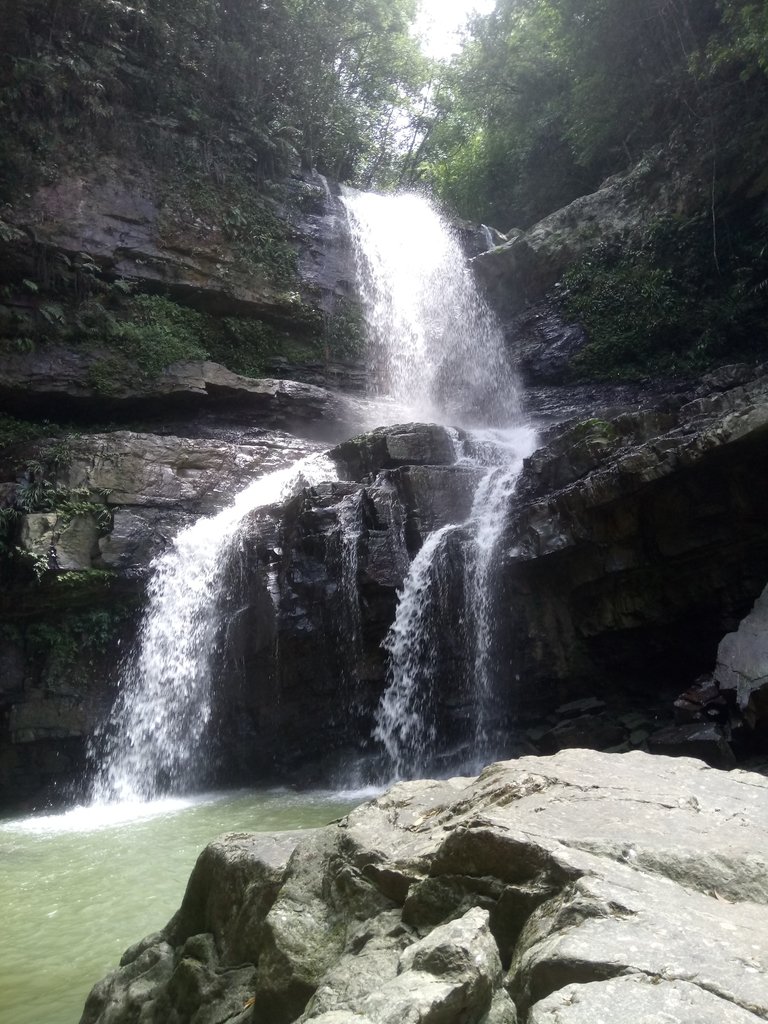 DSC_2653.JPG - 魚池  澀水森林步道  水上瀑布