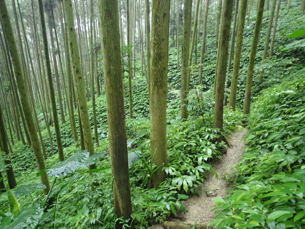 P9250239.JPG - 南庄  向天湖山  光天高山