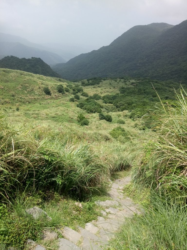 DSC_8651.JPG - 再訪  金包里大道  (魚路古道)