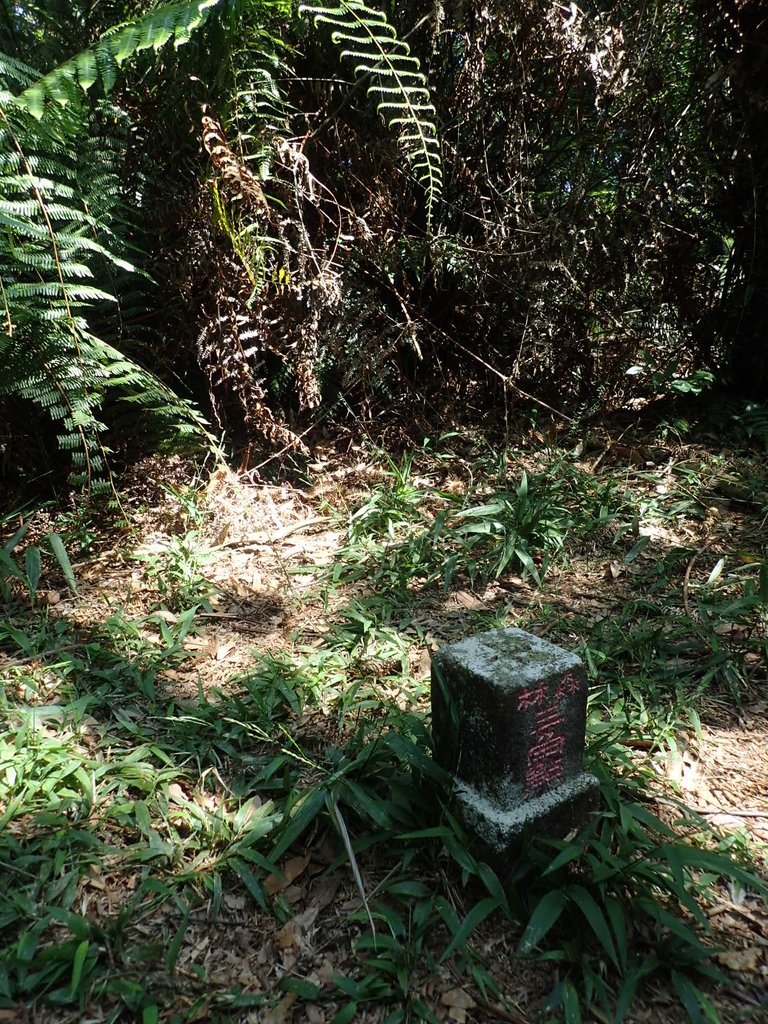 PA040396.JPG - 魚池  過坑山登山步道