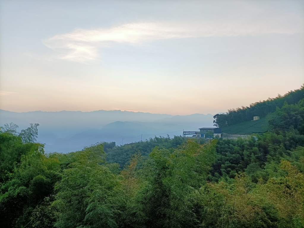 IMG20210130064135.jpg - 雲嘉  大尖山  二尖山步道