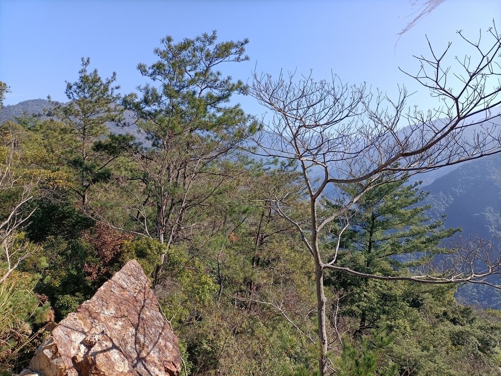 IMG20210221092655.jpg - 谷關  阿冷山步道