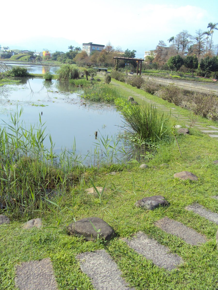 DSC03512.JPG - 擺厘  陳家  松園咖啡