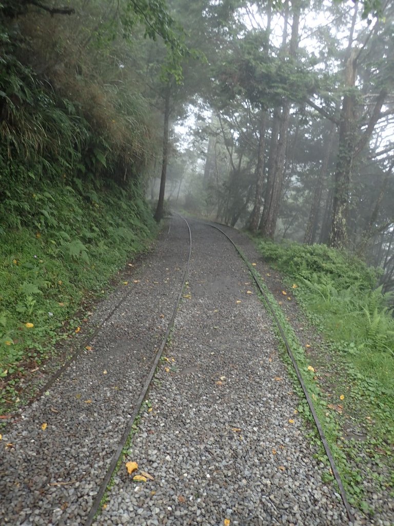 P8226777.JPG - 太平山 見晴懷古步道