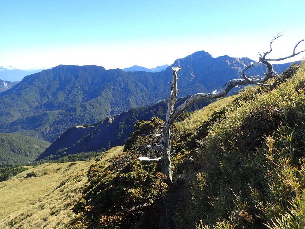 PC132112.JPG - 合歡山  東峰