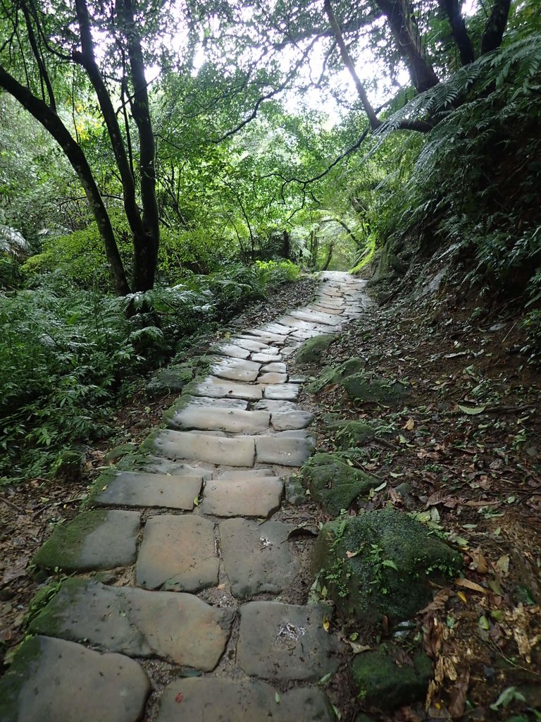 P1062087.JPG - 土城  天上山  登山步道