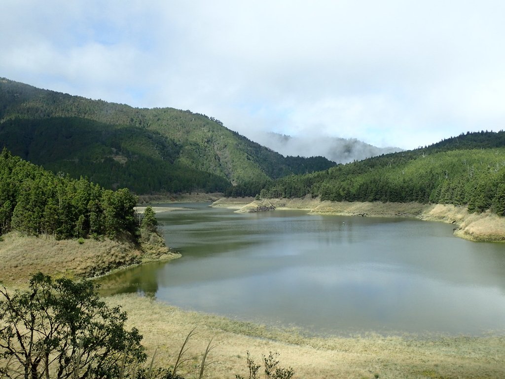 PB265381.JPG - 太平山  翠峰湖環山步道  02