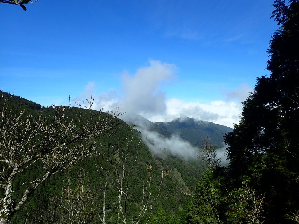 PB265452.JPG - 太平山  翠峰湖環山步道  02