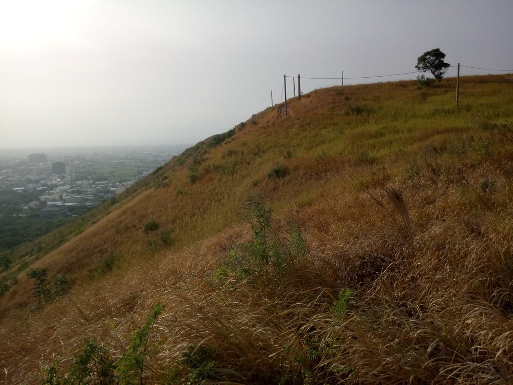 DSC_0367.JPG - 大甲  鐵砧山大草原