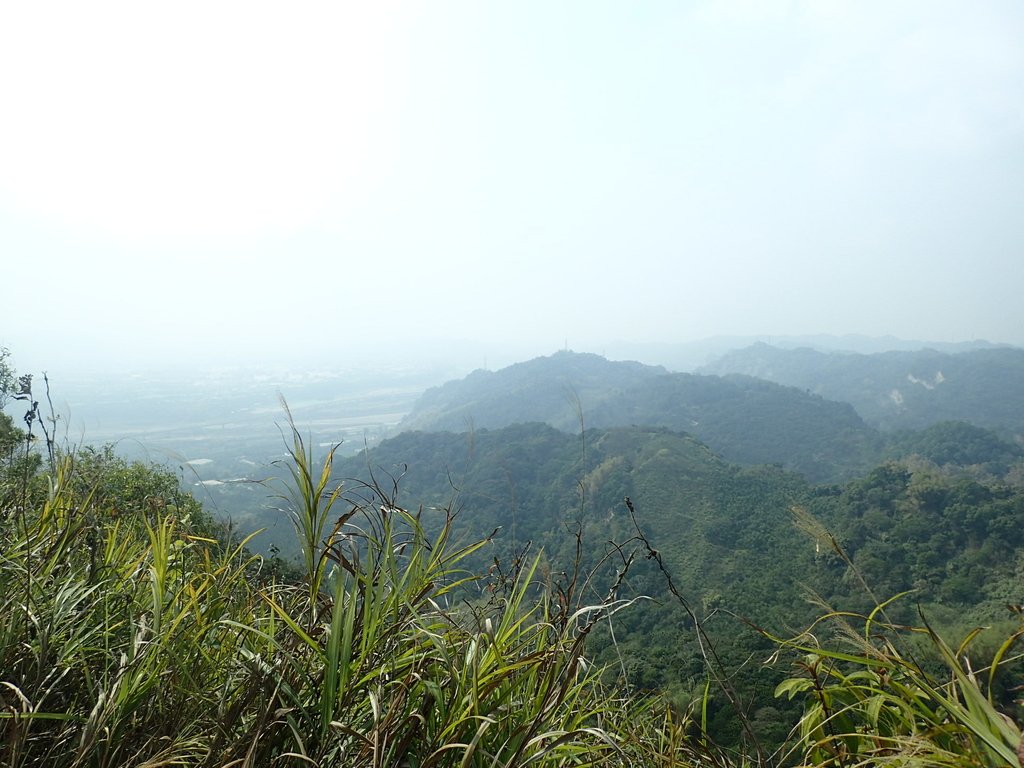 P3016112.JPG - 草屯平林  九九峰森林步道