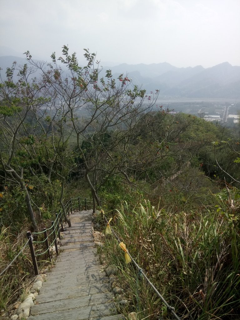 DSC_7315.JPG - 草屯平林  九九峰森林步道