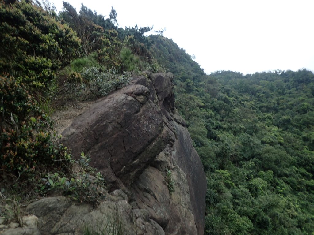 P3160183.JPG - 汐止  金面山(金明山)  稜線步道