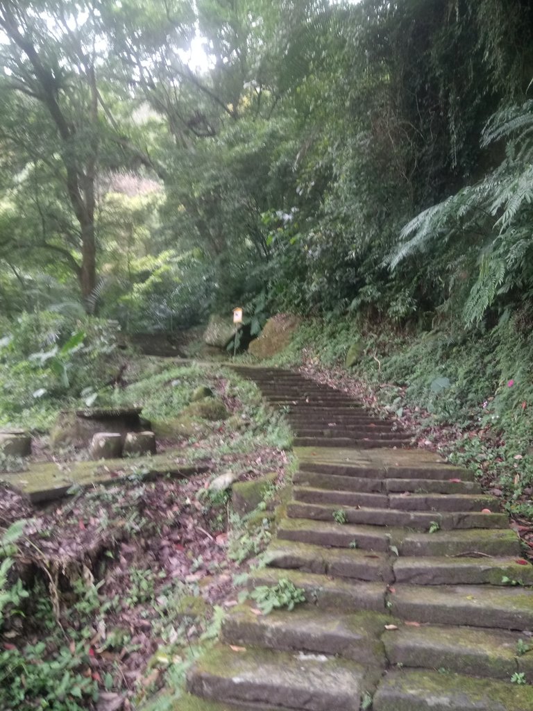 DSC_2797.JPG - 獅頭山  獅山古道  (02)