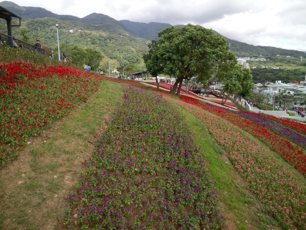 DSC_5449.JPG - 北投社  三層崎公園