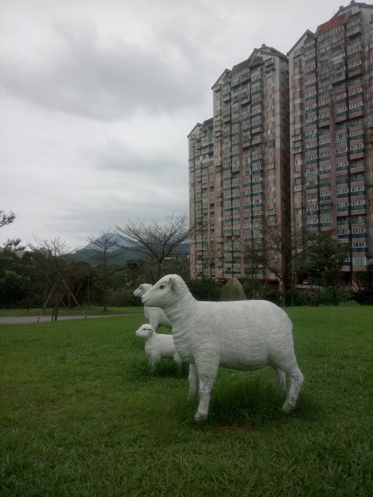 DSC_8100.JPG - 基隆  早安國揚社區公園