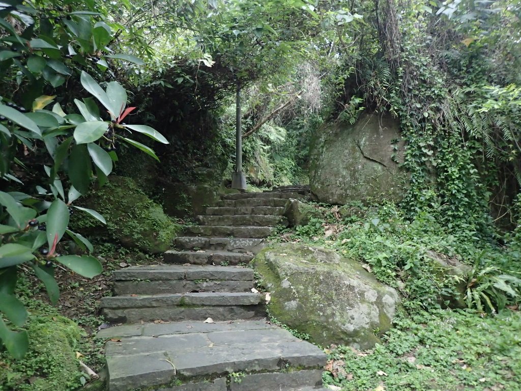 P3116924.JPG - 內湖  白鷺鷥山親山步道