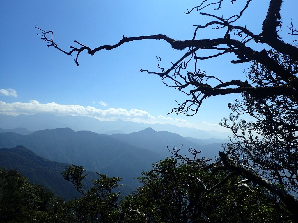 P2034864.JPG - 南庄  加里山