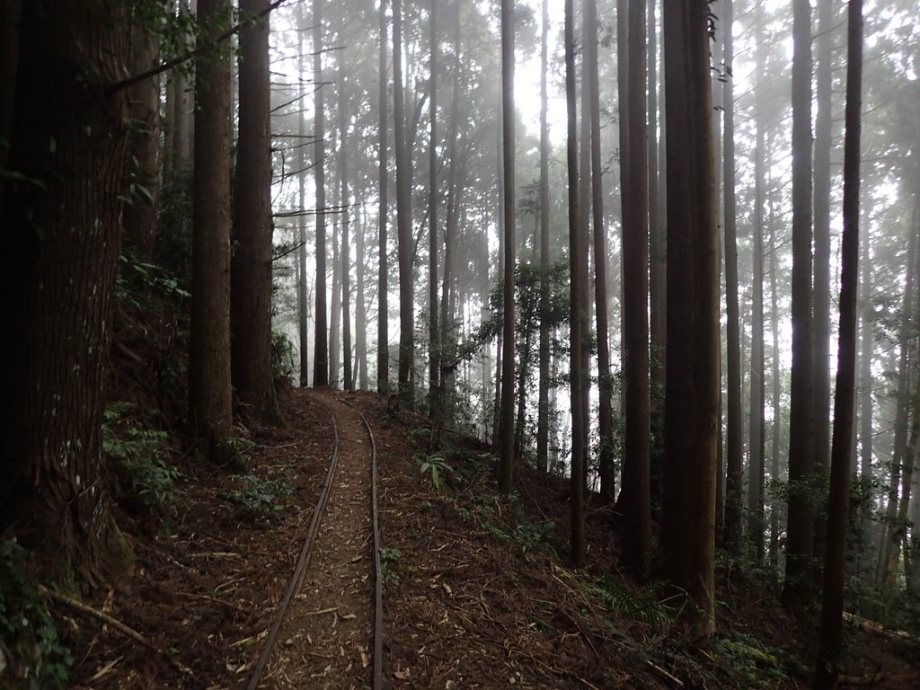 P2034992.JPG - 南庄  加里山  森林鐵道