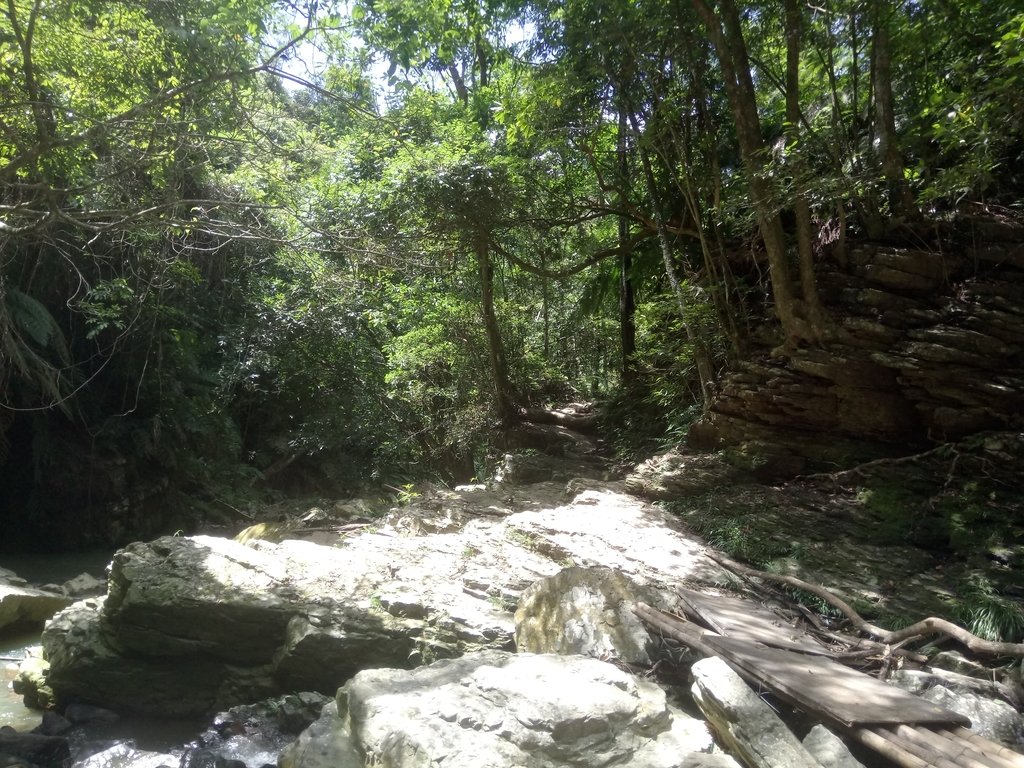 DSC_2662.JPG - 魚池  澀水森林步道  水上瀑布