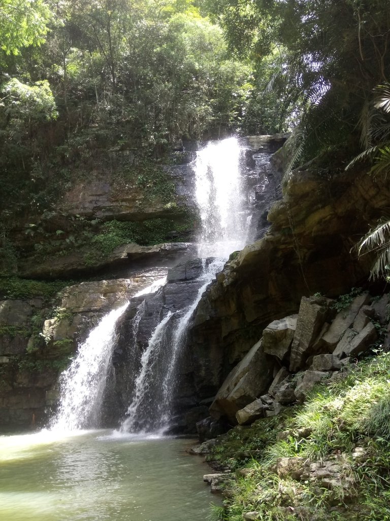 DSC_2660.JPG - 魚池  澀水森林步道  水上瀑布