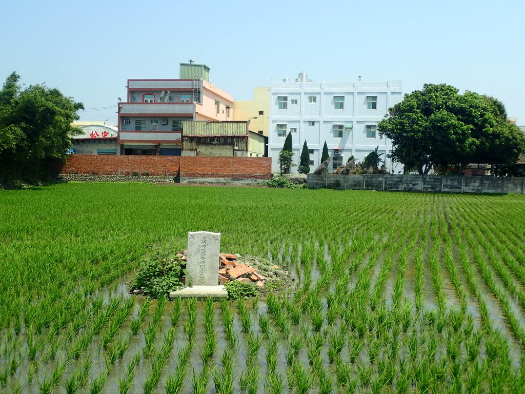 P4090725.JPG - 埔鹽  新興  陳門謝氏祖墳