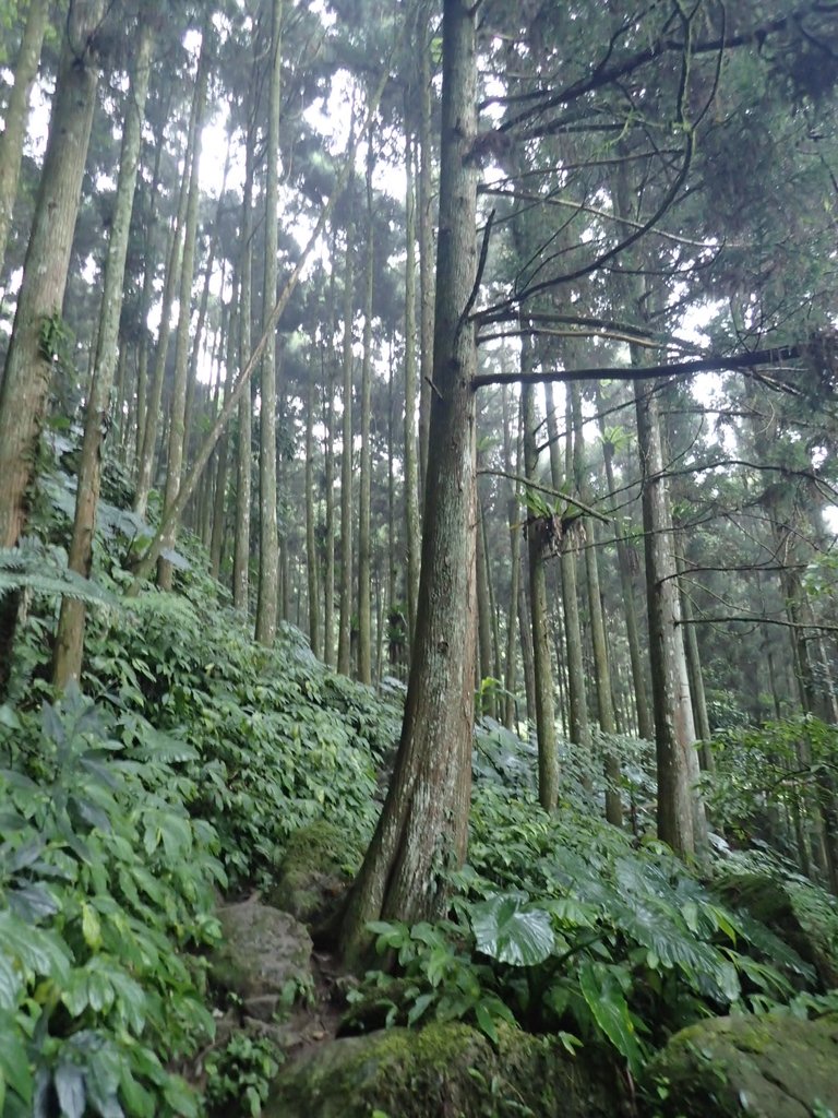 P9250244.JPG - 南庄  向天湖山  光天高山