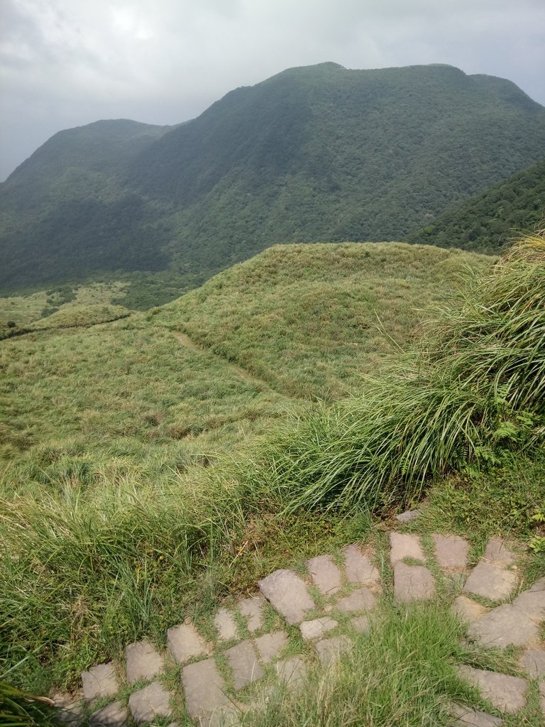 DSC_8656.JPG - 再訪  金包里大道  (魚路古道)