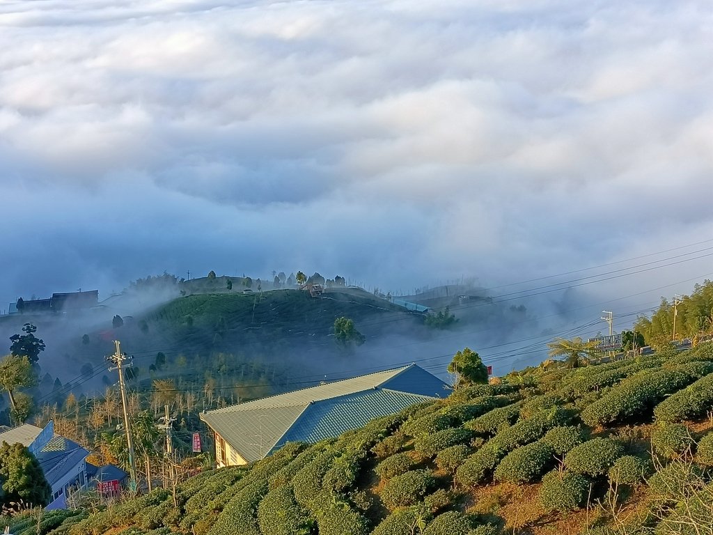 IMG20210107164414.jpg - 鹿谷  大崙山  觀霧亭之  暮光