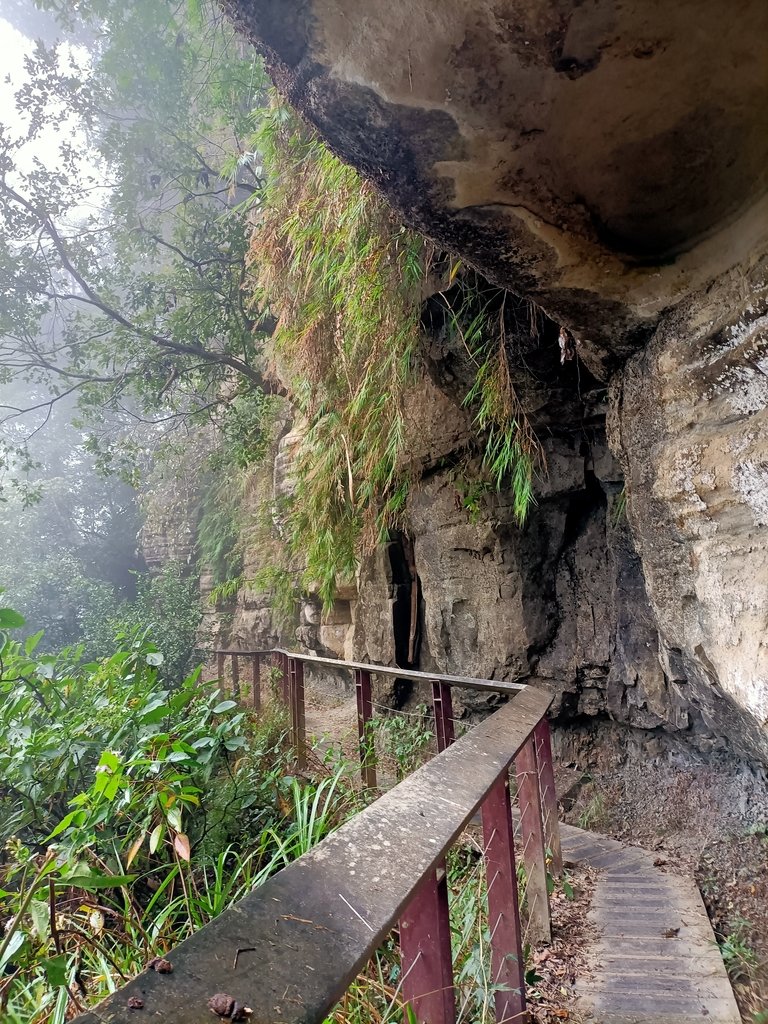 IMG20210108120438.jpg - 梅山  瑞峰村  竹坑溪步道