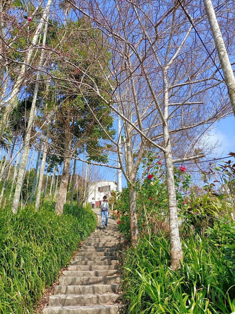 IMG20210130102749.jpg - 竹崎  獨立山登山步道