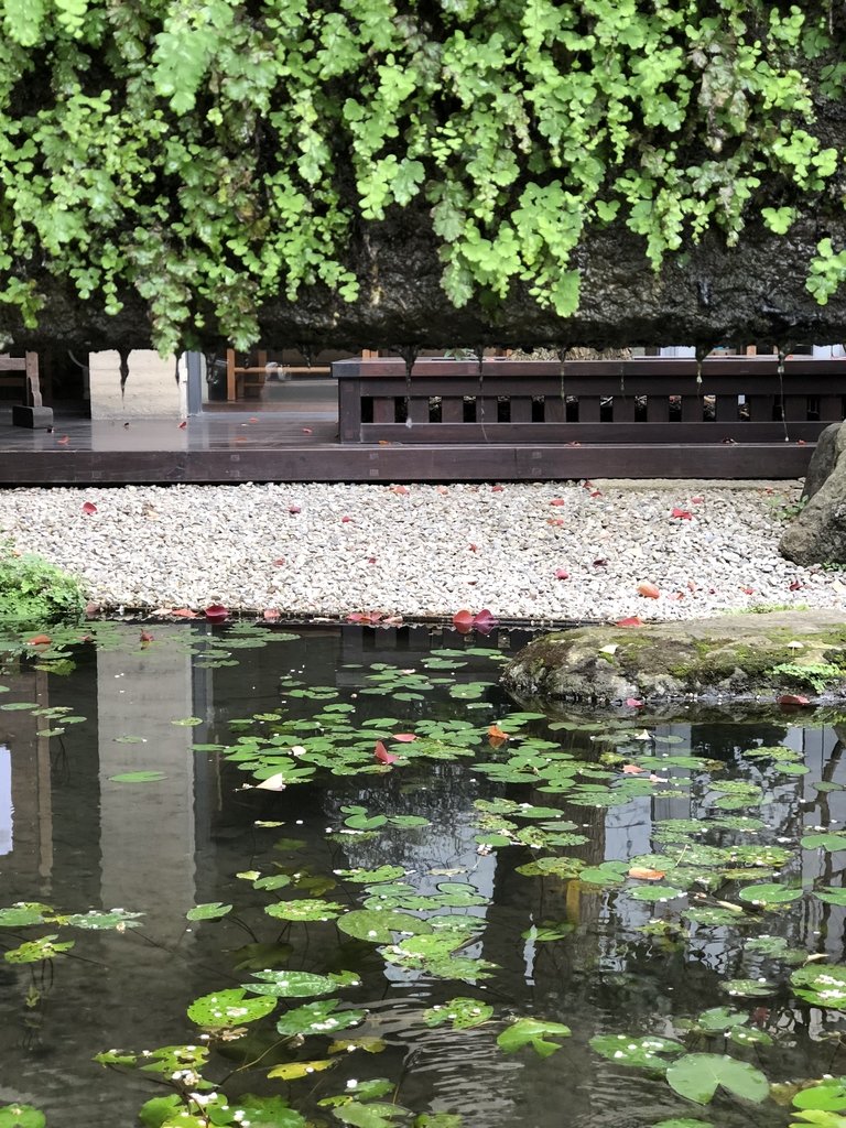 IMG_0113.JPG - 再訪  大里  菩薩寺