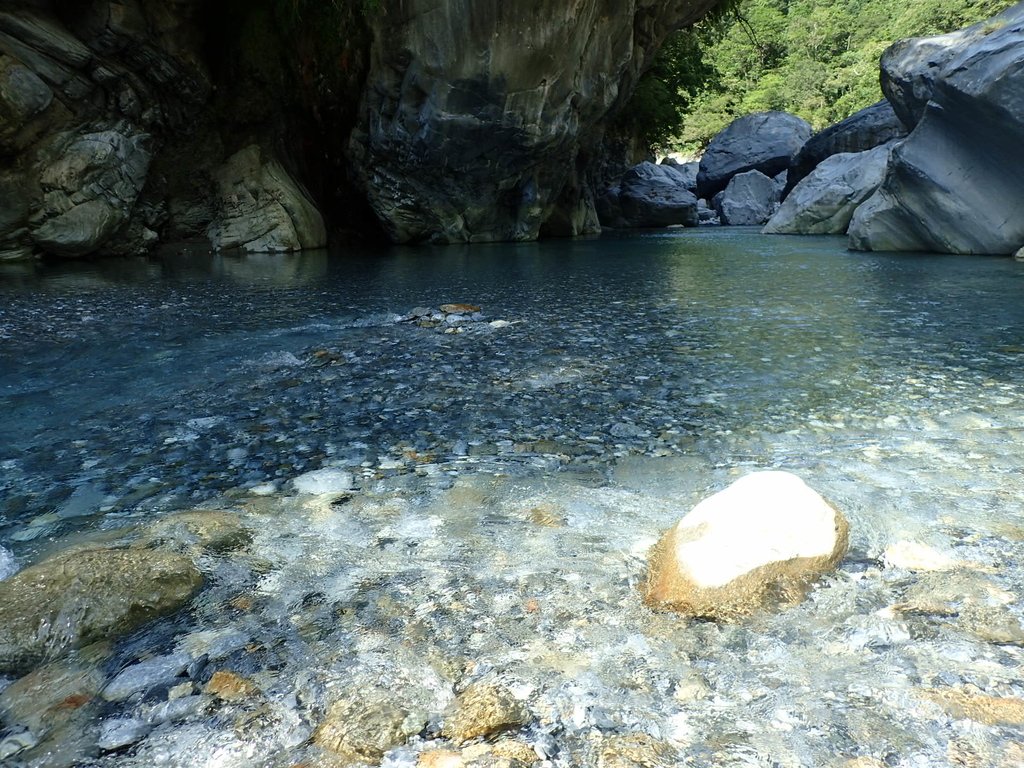 P8120292.JPG - 花蓮  秀林  砂卡噹步道