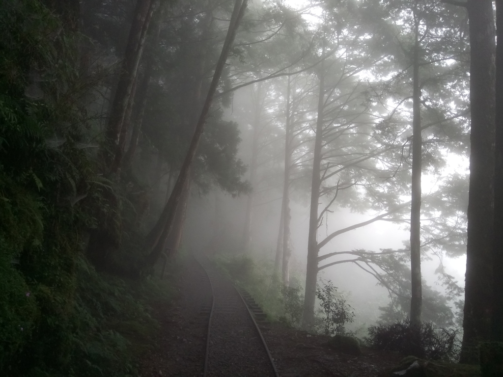 DSC_5614.JPG - 太平山 見晴懷古步道