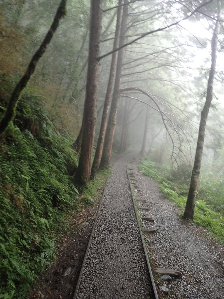 P8226783.JPG - 太平山 見晴懷古步道