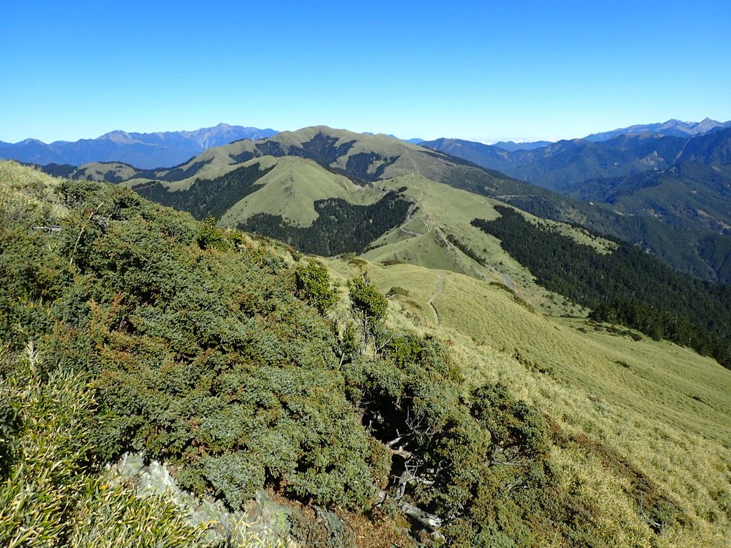 PC132115.JPG - 合歡山  東峰