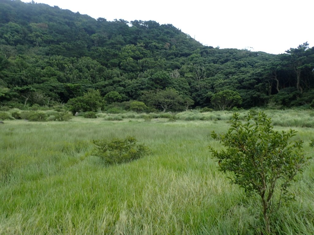 P9238229.JPG - 北投  面天山  向天湖步道