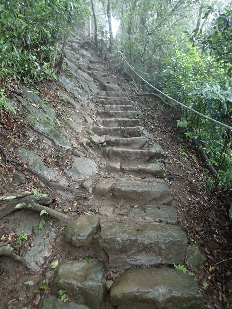 P1062059.JPG - 土城  天上山  登山步道